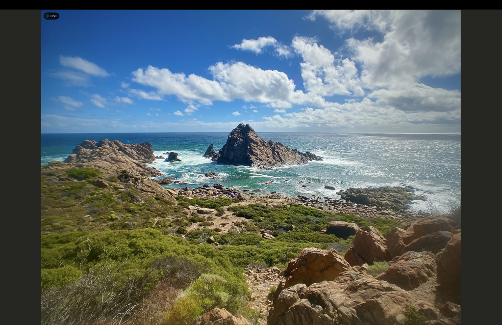Life exhibits remarkable resilience, even in cooler environments that offer respite from extreme heat. This is an extraordinary scene with the oceans and their tides that can reenergize the human spirit.