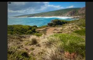Ocean parks complete with a rich array of colours ranging from green to golden, as reflected here, provide a gold standard in relaxing environments.