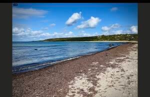 This image reflects banks of seaweed, mesmerizing blue water and sky. You gravitate to the ocean parks and sustainable pursuits, like beachcombing and the arts, that potentially honor the natural world. To you, the ocean and its  landscape, pictured here,  deserve,  respect and preservation. 