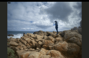 The degree of naturalness in environments, particularly concerning ocean and land have been impacted by human activities. This raises important questions about the environment and sustainability showcases an Ozzie marine park scene