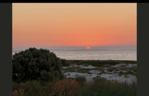 You might discover that there are not enough hours in a day if you set out to advance human rights. However, pause for a moment and reflect on the picturesque ocean and other environments in which we live.