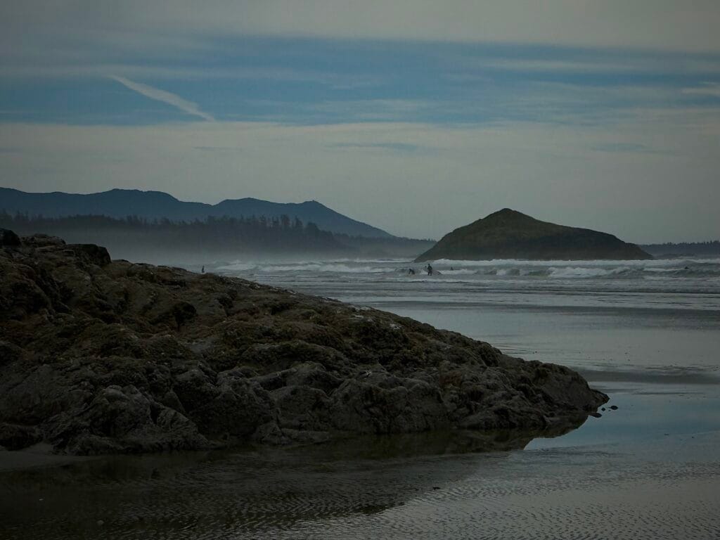 We do not treat our oceans kindly. For example, we place pollutants, including plastics, into them. Notwithstanding this, they persist, and with eco-understanding they can flourish.