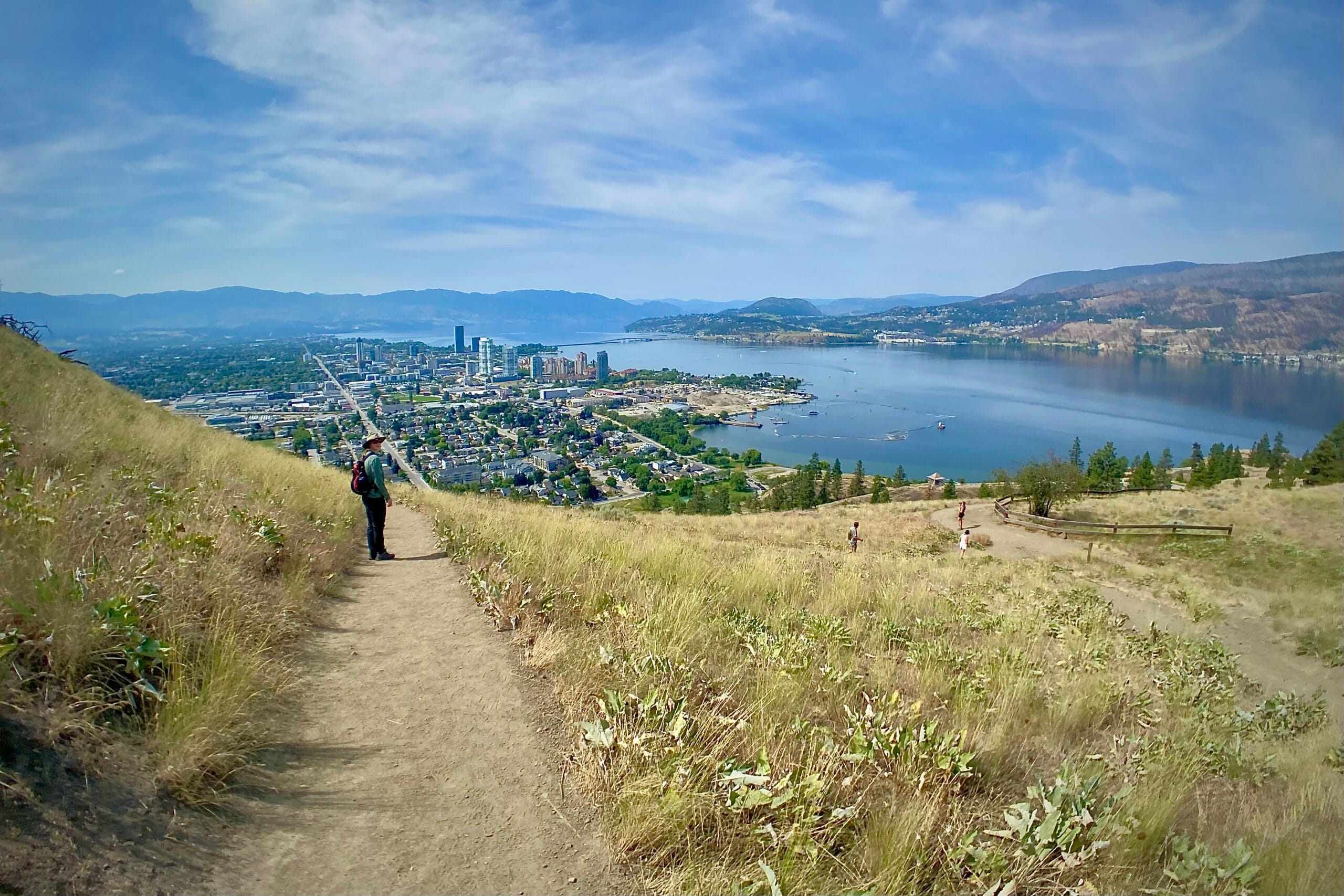 Various Healing Techniques