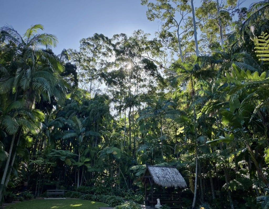 Imagine having a curtain of green flora around you. This is your green space, and the sun can be seen like a globe in the sky.