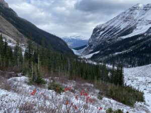 Educational journeys can guide you through a variety of conceptual terrains. This image depicts majestic mountains and the Lake Louise's enchanting blue waters. 