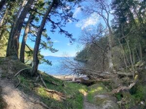 This image depicts part of Salt Spring Island's coastal region.