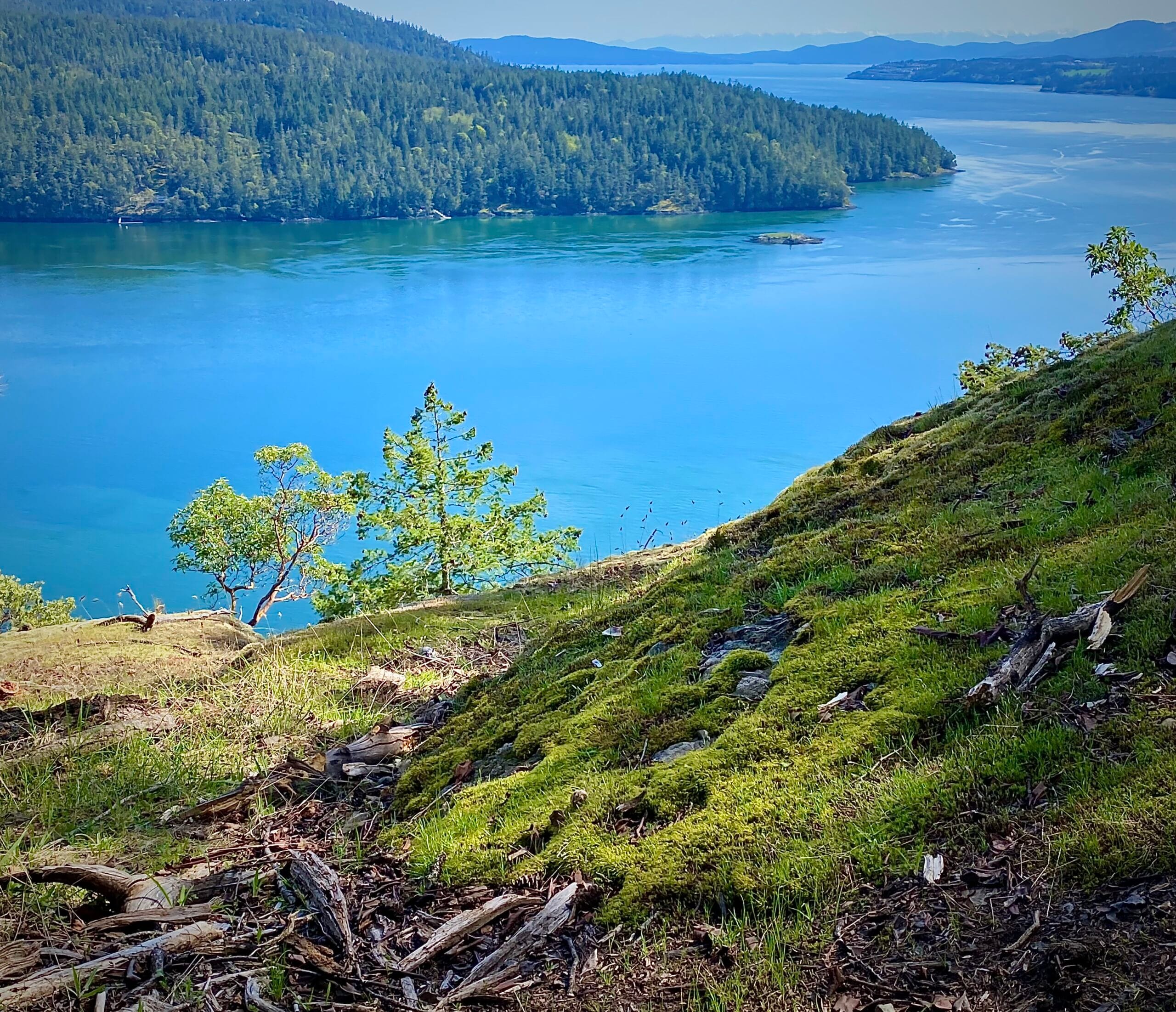 The Trident Foundation (Mediation, Counselling ...)