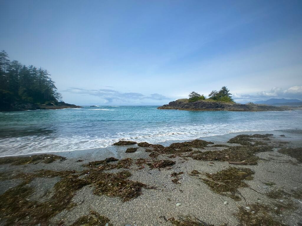 This image hones in on the shoreline and ocean at the Pacific Rim National Park Reserve.