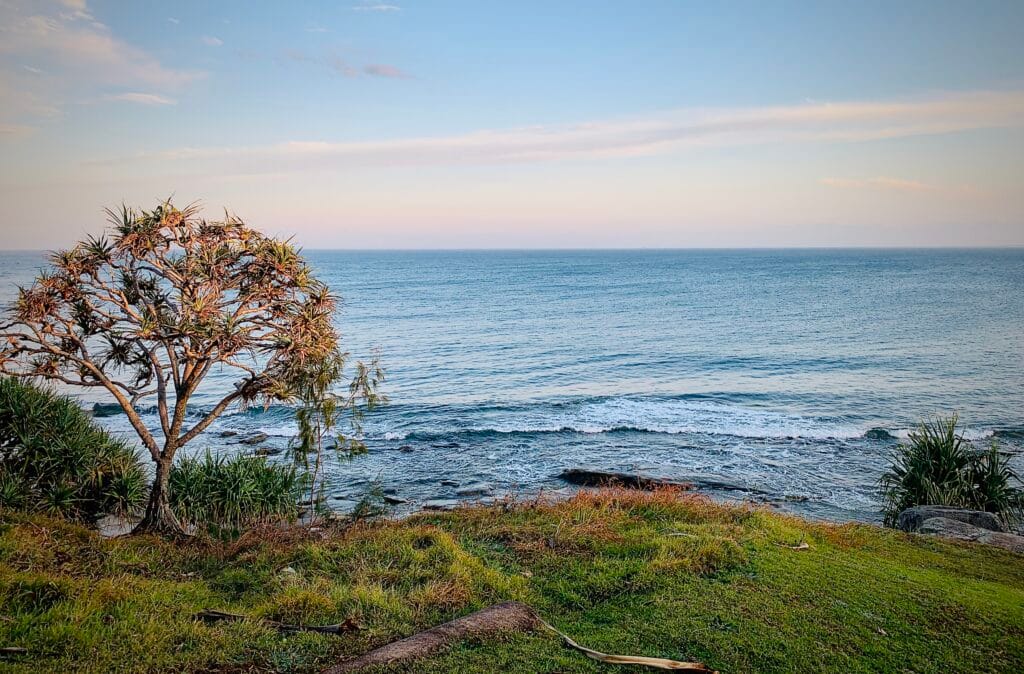 From this viewpoint you look out to blue sea and a grassy bank. If you look closely enough at the flora you might notice wild pineapples growing.