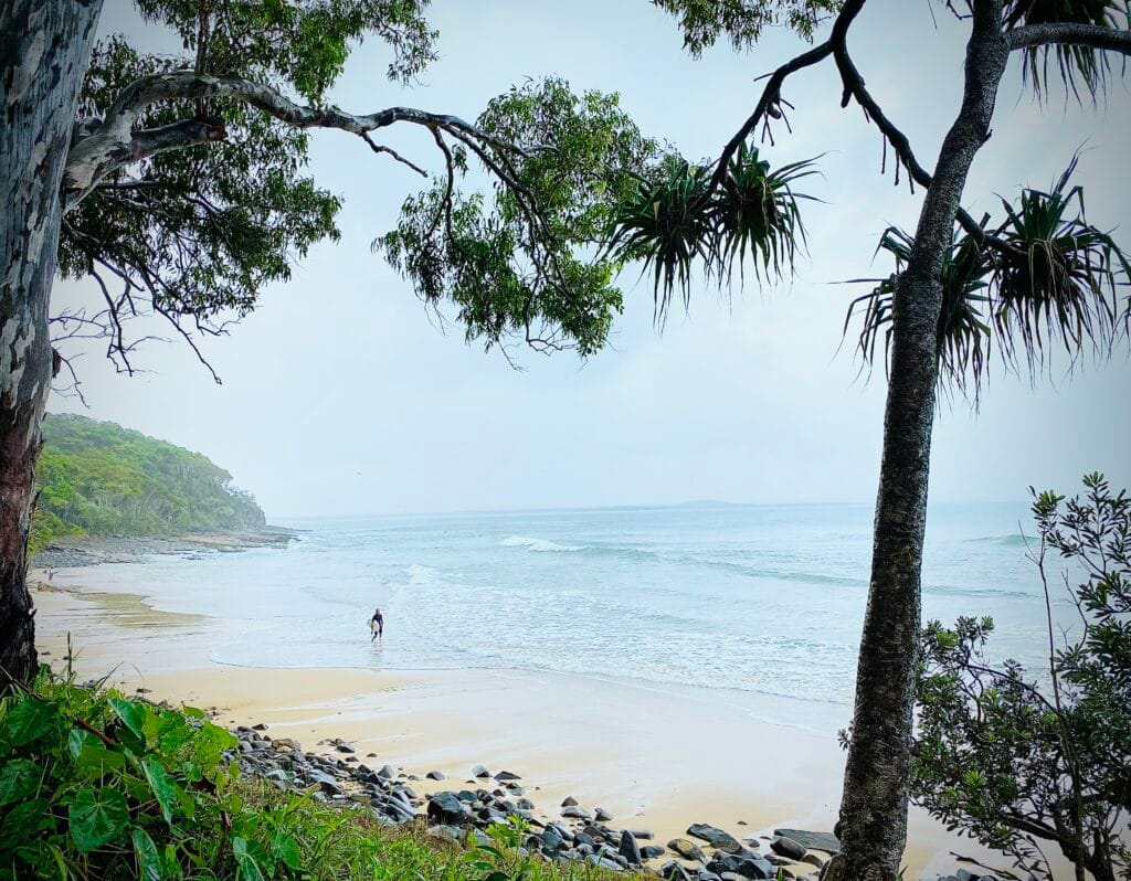 Honing in on the white sandy beaches at Noosa National Park you notice a sole figure in the horizon.