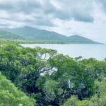 From this vantage point you look above to the heavens where there may be a storm brewing, rainforest, and sea.
