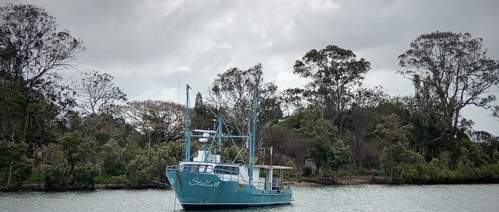This photo takes you to Burnett River where the river meets the ocean. A vessel entitled the Stella V11 is features close to a well-wooded shore. Bundaberg lies in the Southern Great Barrier Reef Region.