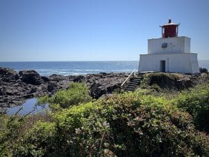 This image features a coastline adorned with flora, and a prominent display the Amphitrite Lighthouse on the right side.