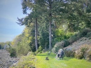 Here at Ladysmith on Vancouver Island, you may ponder upon a grain of sand and notice how quickly it can be covered by ocean water. People are like a particle of sand that can be easily overwhelmed by a forceful tsunami in the form of rapid technological change. People, a furred and pawed companion, a beach, and the ocean are included in this image.