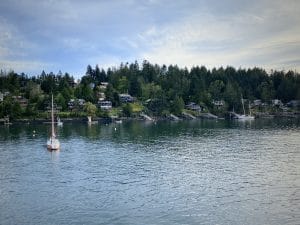 Imagine you have arrived at Mayne Island and you are curious to further investigate the shores including its woods and ocean vistas.