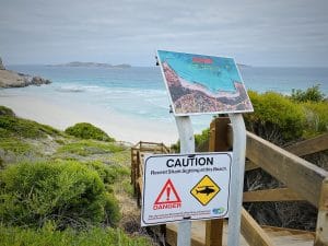 This photo reinforces the need to take care and be on the look out for sharks and other marine life.