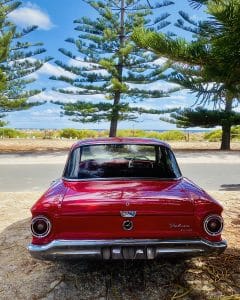 This image of a vintage car also features a treed beach where you can relax, have fund, and blow the figurative cobwebs away!