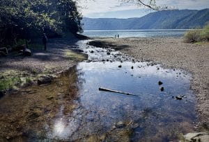 The mesmerising Gowland Todd Provincial Park opens to the ocean and symbolises the open field of Artificial Intelligence.