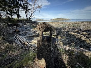 As you feel the ocean breeze kissing your skin, and hear the gentle breaking waves, and savour the salty environment (as featured here) it dawns on you how good it is to be alive!