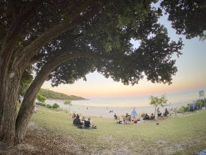 This image transports you to an ocean seascape where individuals of varying backgrounds congregate around a treed area, as they contemplate of vast expanse of the ocean that extends out before them.