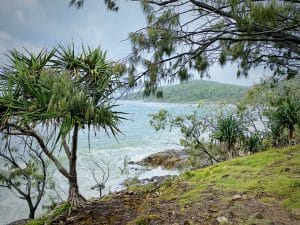 Here you are transported to a coastal walkway near Noose Head. Tis seascape includes jagged coast, which promise a tropical lifestyle.