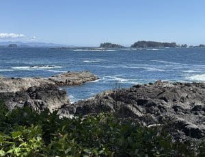 The ocean could symbolise unresolved human emotion or potential. Here on Vancouver Island’s coast you may ponder upon the sheer force of currents as life clings tenaciously to wind swept rocks; as depicted in this image.