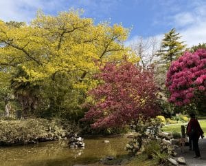 This image transports you to the Gardens at Government House in Victoria. Brilliant cold, yellow, crimson, and red can be seen.