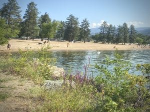 This image transports you to a picturesque beach at Penticton, British Columbia.