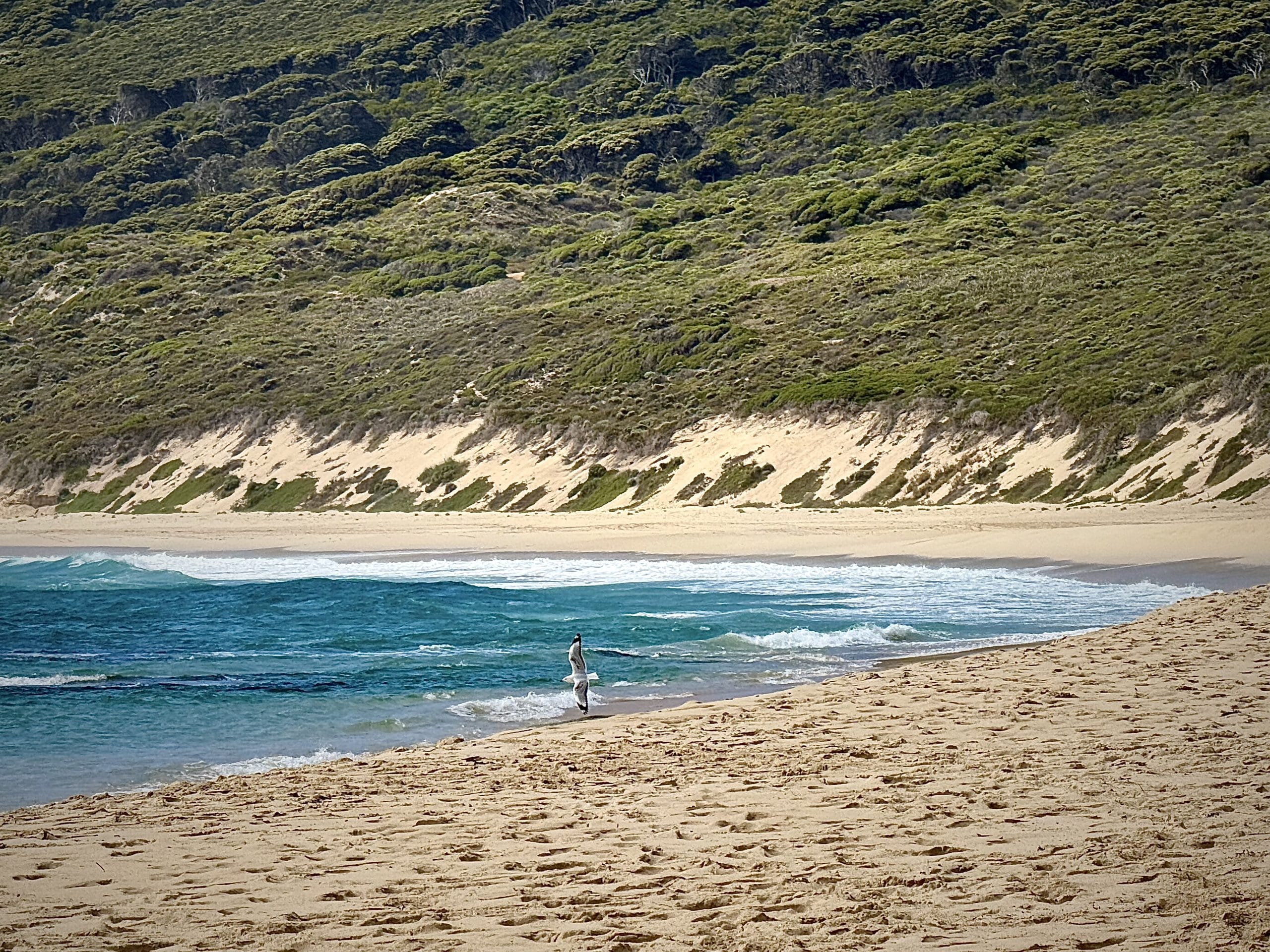 Locations offering fabulous oceanscapes may inspire visions of deities. It is hoped that they will persist in maintaining a robust and balanced ecosystem in alignment with the natural world.