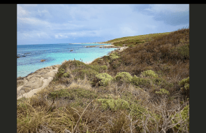 Fall is a splendid season when nature showcases its brilliance, displaying a vibrant palette of colours that transitions from blue to brown to green as illustrated in these Ozzie shores.