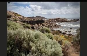 We live in an amazing and, interconnected world. Images like this one with coastal fauna and powerful ocean can be a gentle reminder that ocean parks uplift the human spirit!